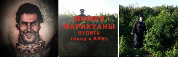 крисы Сатка