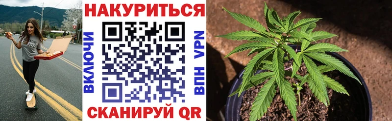 Бошки марихуана семена  хочу наркоту  Саянск 